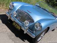 1955-austin-healey-bn1-129