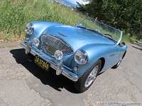 1955-austin-healey-bn1-006