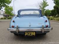 1955-austin-healey-bn1-044