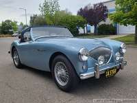 1955-austin-healey-bn1-060