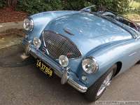 1955-austin-healey-bn1-131