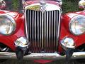 MG TF Grille Close-Up