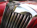 Cool MG TF Grille Close-Up