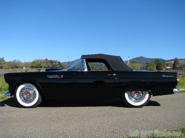 1955 Ford thunderbirds for sale #6