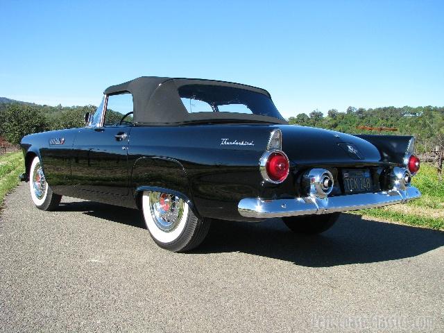 1955-thunderbird9198.jpg