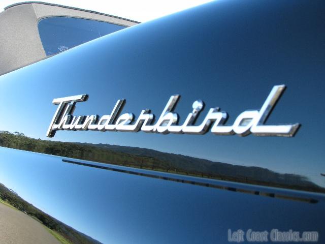 1955-thunderbird9249.jpg