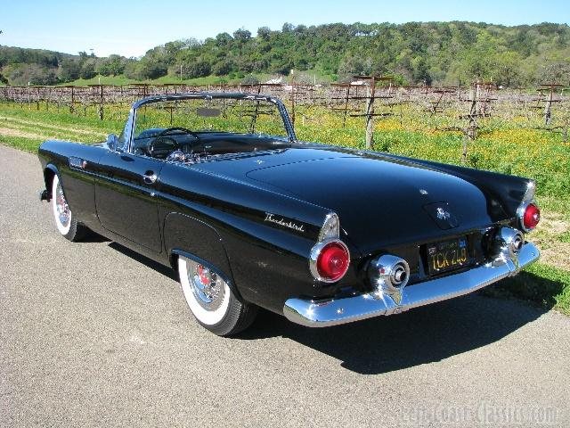 1955-thunderbird9361.jpg