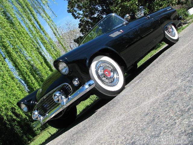 1955-thunderbird9507.jpg