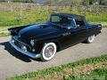 1955-thunderbird9203