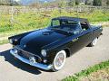 1955-thunderbird9230