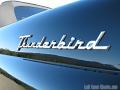 1955-thunderbird9249