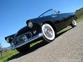 1955-thunderbird9342