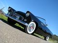 1955-thunderbird9345