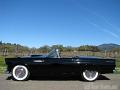 1955-thunderbird9347