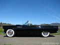 1955-thunderbird9348