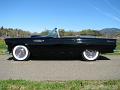 1955-thunderbird9349