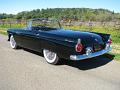 1955-thunderbird9359