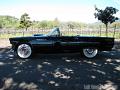 1955-thunderbird9370