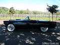 1955-thunderbird9371