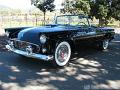 1955-thunderbird9490