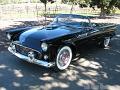 1955-thunderbird9491