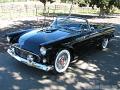 1955-thunderbird9492