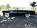 1955-thunderbird9493