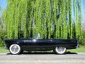 1955-thunderbird9501