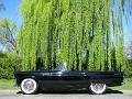 1955-thunderbird9502