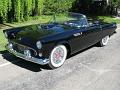 1955-thunderbird9506