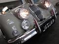 cool classic Jaguar Grille Close-Up