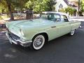 1957-ford-thunderbird-willow-008