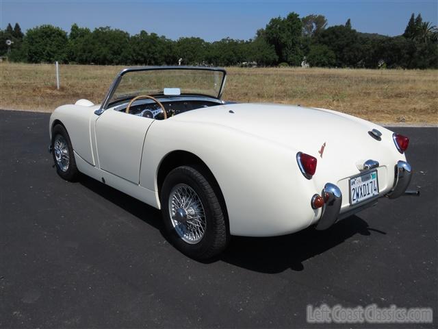 1959-austin-healey-bugeye-019.jpg