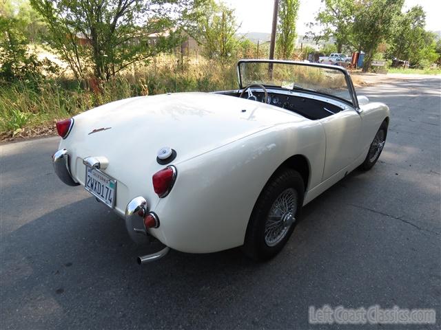 1959-austin-healey-bugeye-036.jpg