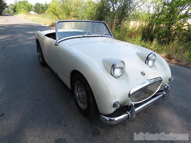 1959-austin-healey-bugeye-059.jpg