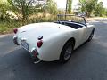 1959-austin-healey-bugeye-036