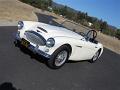 1962-austin-healey-3000-007