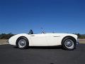 1962-austin-healey-3000-045