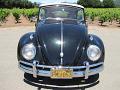 1962 VW Bug Convertible for Sale in Sonoma California
