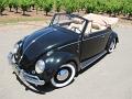 1962 VW Bug Convertible for Sale in California