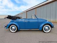 1964-vw-beetle-convertible-255