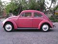1964 VW Bug side