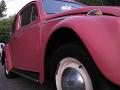1964 VW Bug Close Up