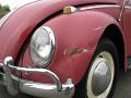 1964 VW Bug Close-Up