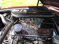 1965 Ford Mustang 302 Cobra Engine