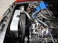 1965 Ford Mustang 302 Engine