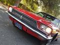 1966-ford-thunderbird-024