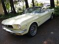1966-ford-mustang-289-convertible-1294