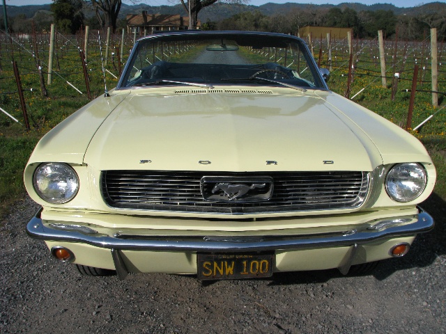 1966 Ford mustang convertible for sale owner #1