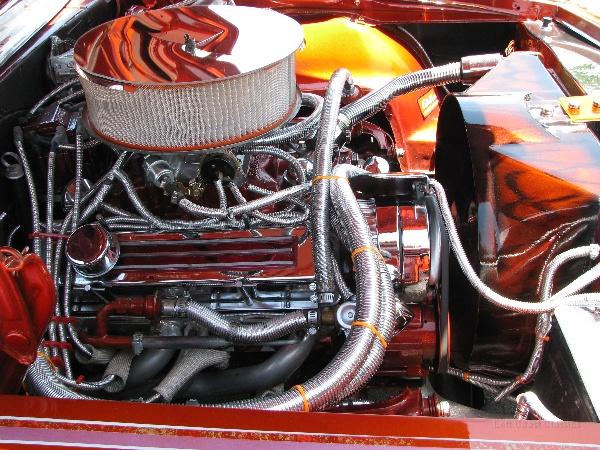 IMG_1918.jpg